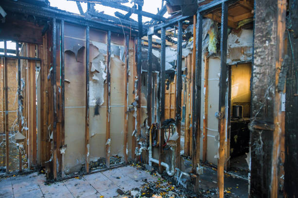 Professional Smoke Damage Removal technician working in Green Park, MO